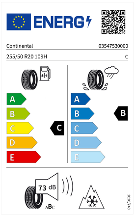 Audi e-tron (GE) Aluradsatz – Winter 255/50 R20 109H (AO) – 4KE071490A