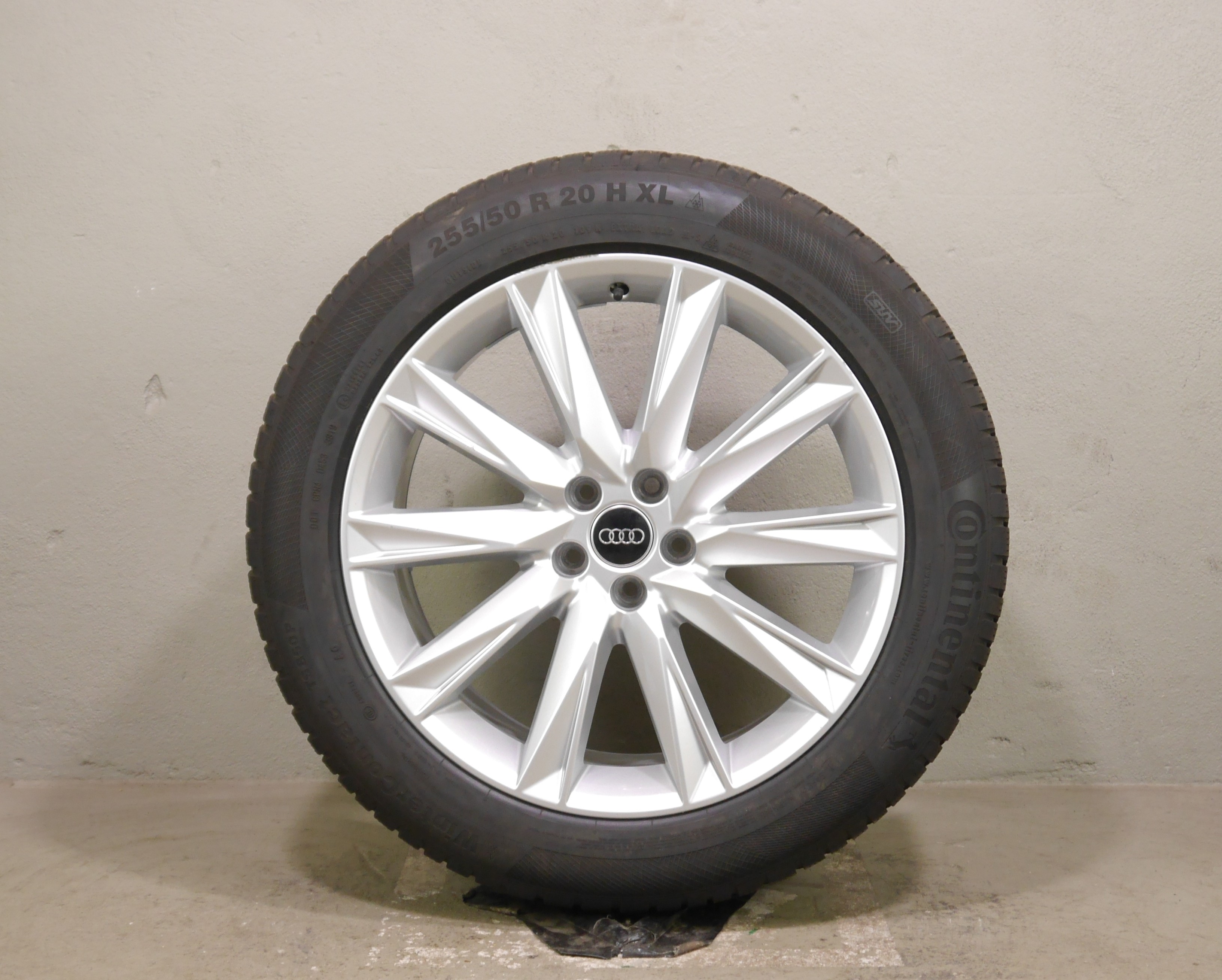 Audi e-tron (GE) Aluradsatz – Winter 255/50 R20 109H (AO) – 4KE071490A