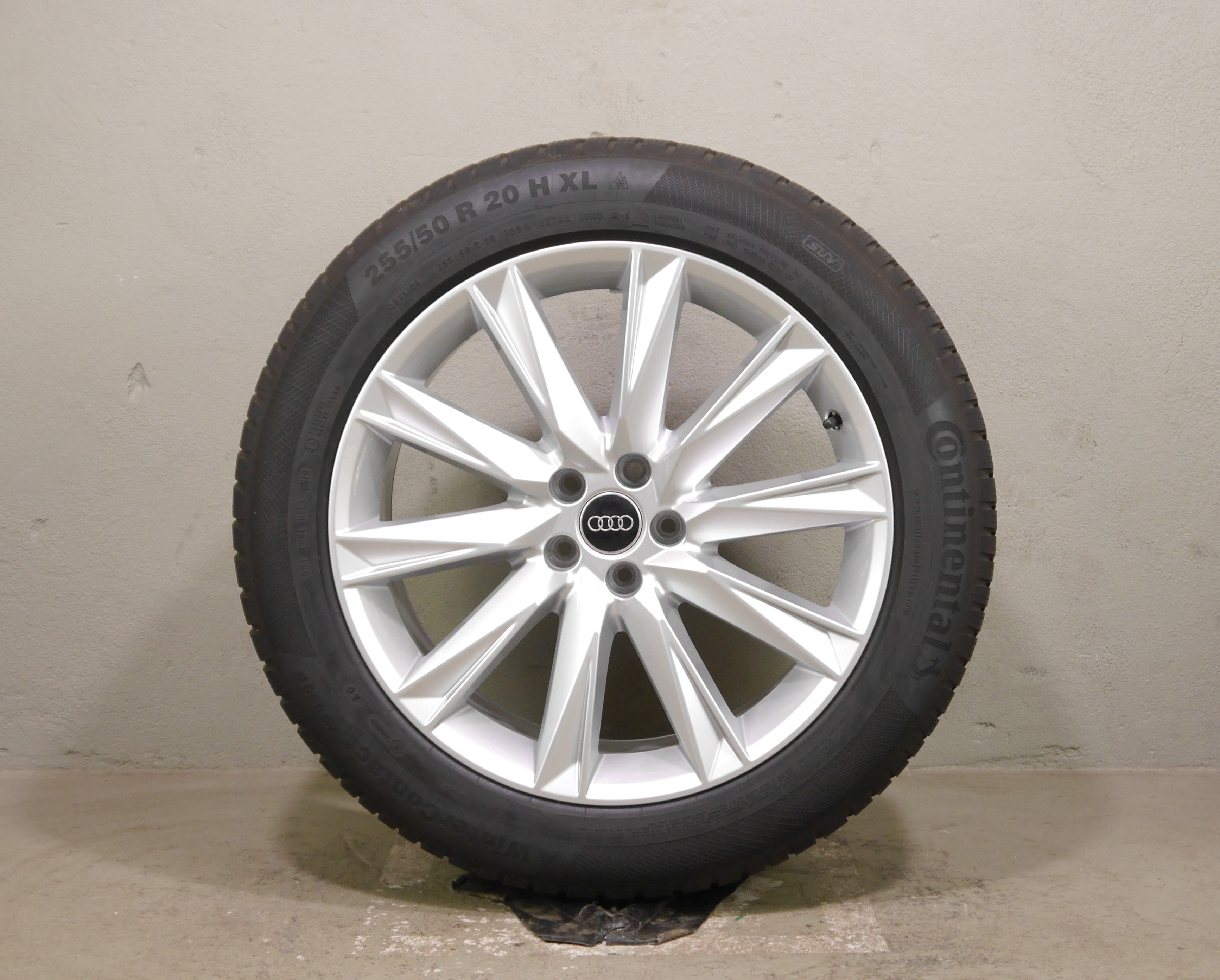 Audi e-tron (GE) Aluradsatz – Winter 255/50 R20 109H (AO) – 4KE071490A