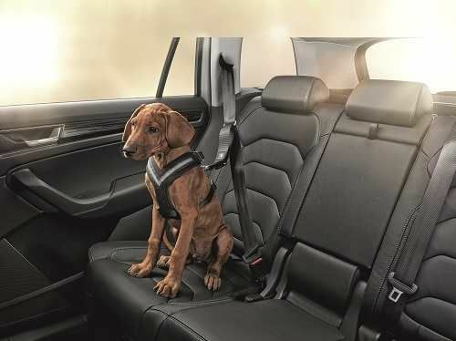 Skoda_Hundeschuztgurt_000019409Bfl4JCtY0xjQyJ ŠKODA Hundeschutzgurt Größe M