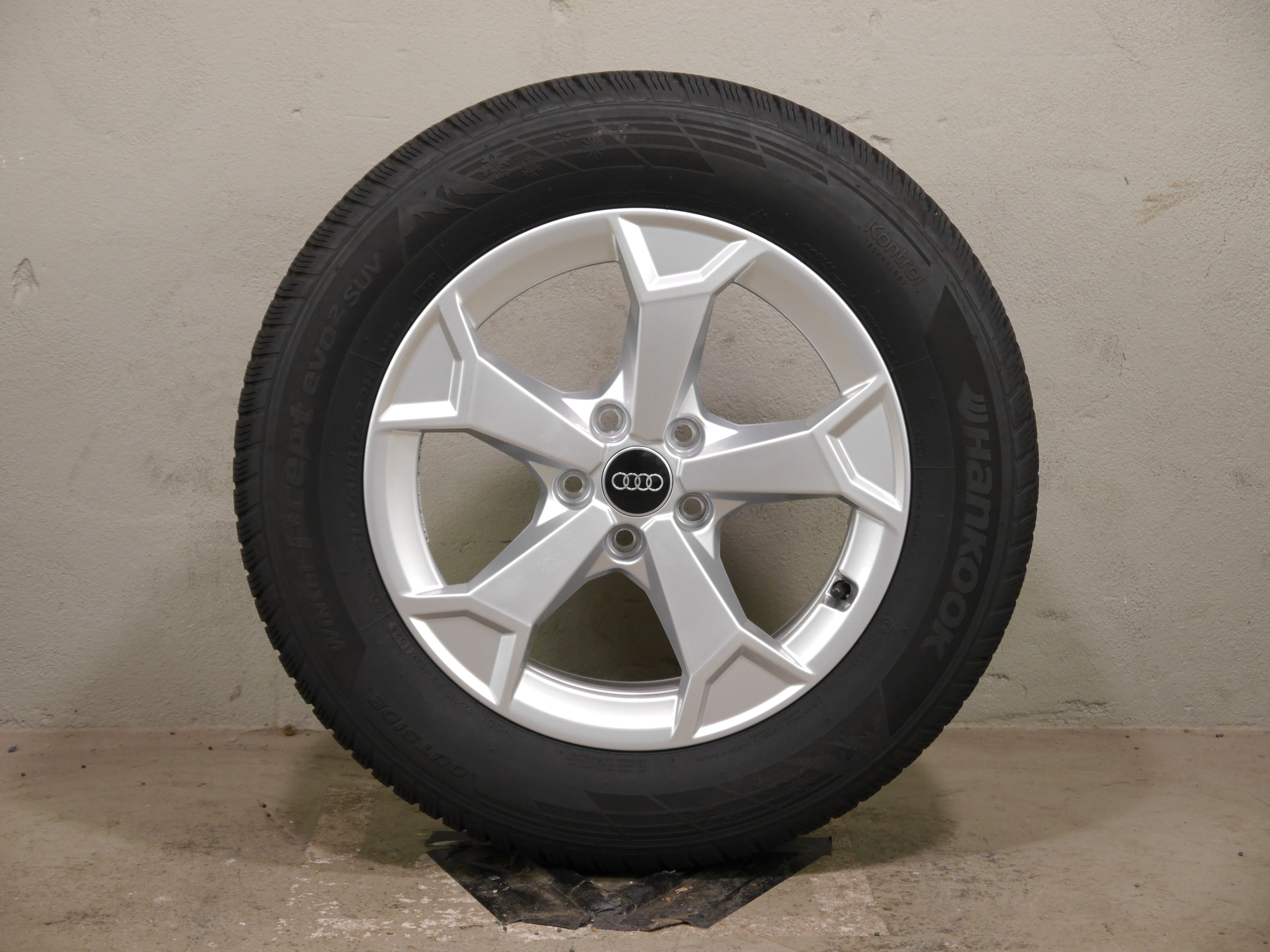 Audi Q3 (F3) Aluradsatz – Winter 215/65 R17 99H (AO) – 83A601025AL